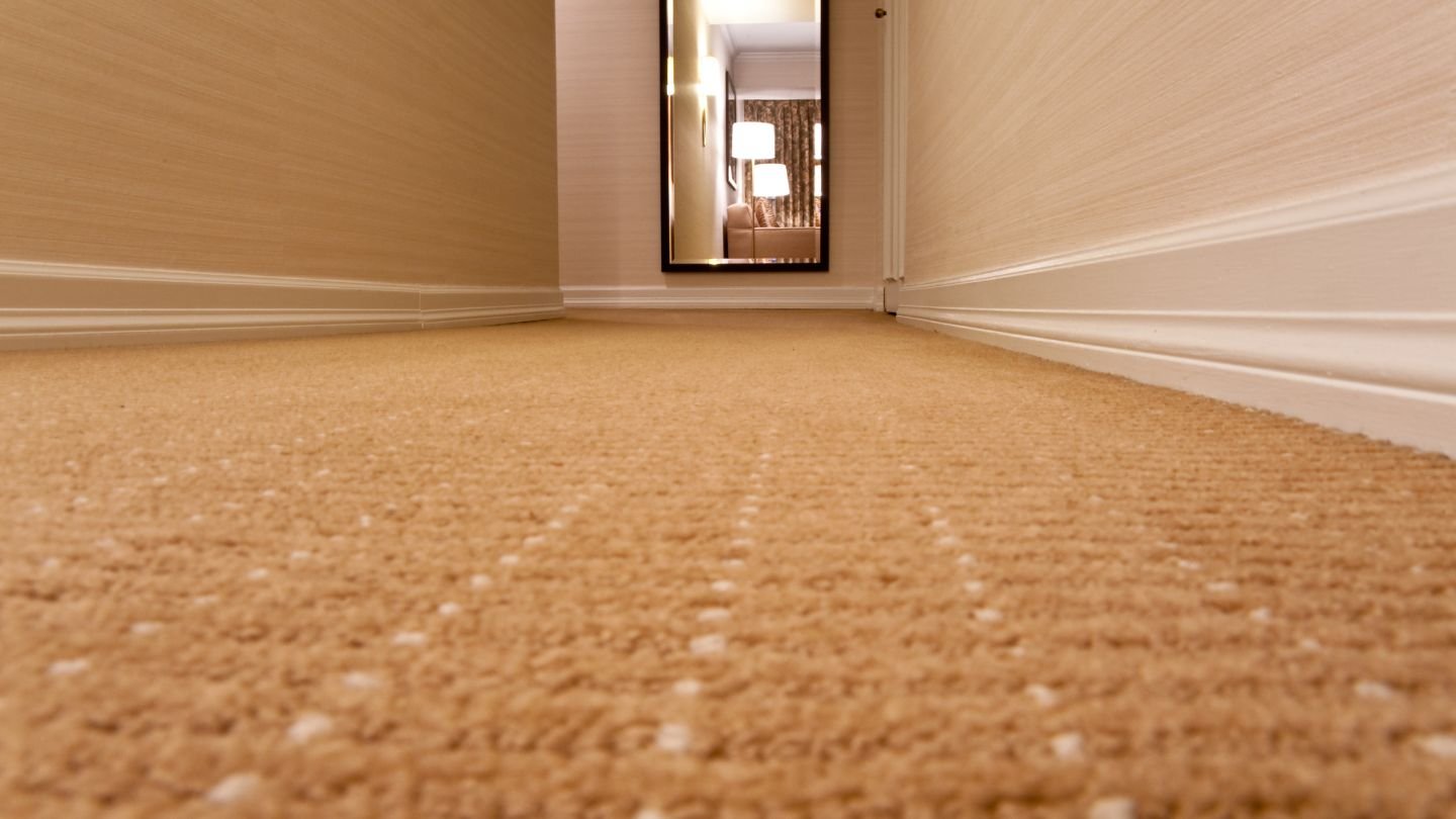 Newly installed beige carpet flooring in a Frankston home hallway.