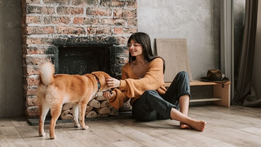 Pet-friendly flooring designed for durability and comfort in Carrum Downs homes