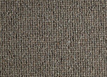 Eagle loop pile carpet tile in rich brown from Flooring Gallery Frankston, perfect for commercial flooring in Mornington Peninsula. Eagle loop pile carpet tile in warm brown shade – Flooring Gallery Frankston