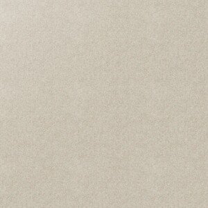 Warm and inviting beige carpet for cosy living spaces. Beige Amaretti carpet texture for warm and inviting interiors.