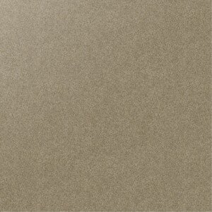 Beach Shell carpet in a sandy, warm coastal tone.