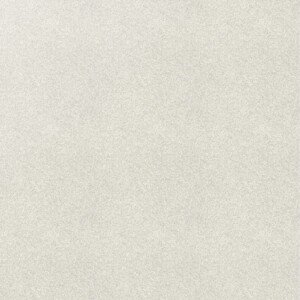 Gentle light grey carpet for a calm, airy interior atmosphere. Soft light grey carpet with a smooth stippled texture.