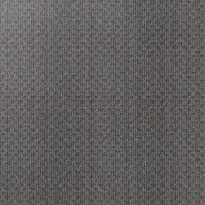 Forest Ridge textured carpet – Flooring Gallery Frankston