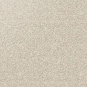 Off-white stippled carpet flooring sample.