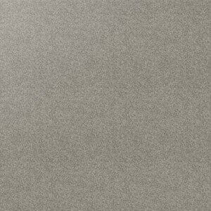 Warm beige-grey carpet with stippled texture.