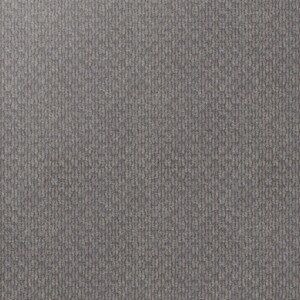 Comfortable and durable Tambourine carpet for modern homes. Tambourine loop pile carpet – Flooring Gallery Frankston